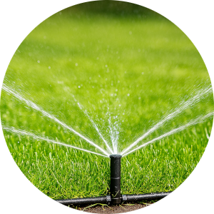 автополив газона